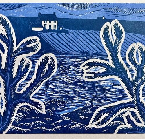 From Shoreside