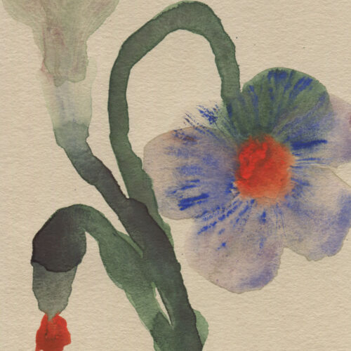 Bowing flower - Moira Frith