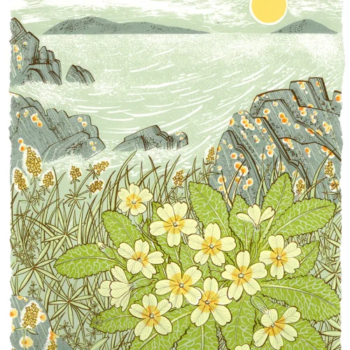 Island Primrose