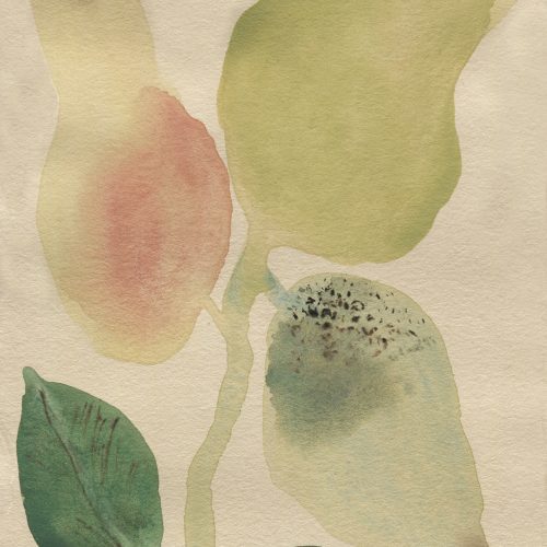 Pear Drop