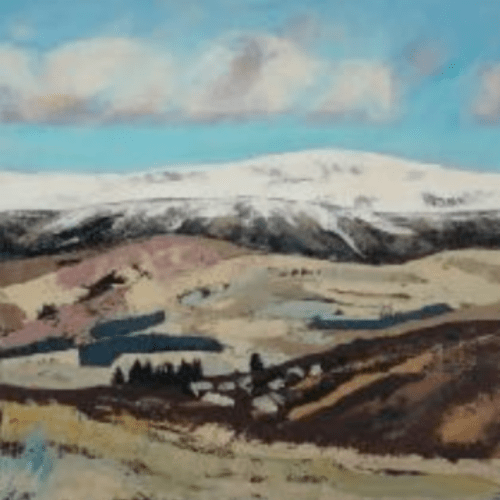 The Cheviot from Simonside Area