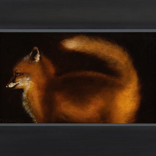 Fox Cub