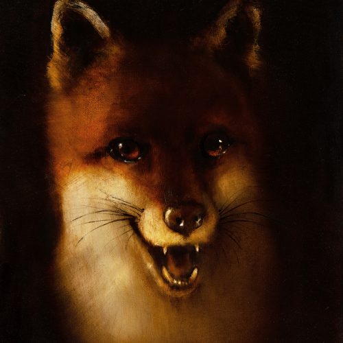 Fox Portrait