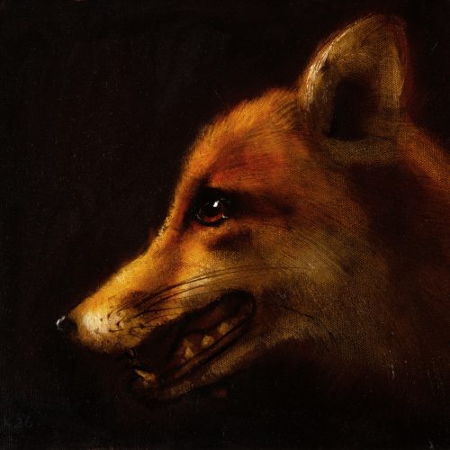 Fox Profile