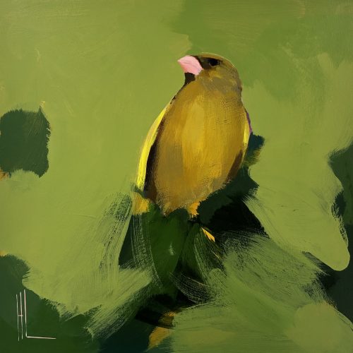 Greenfinch with mauve
