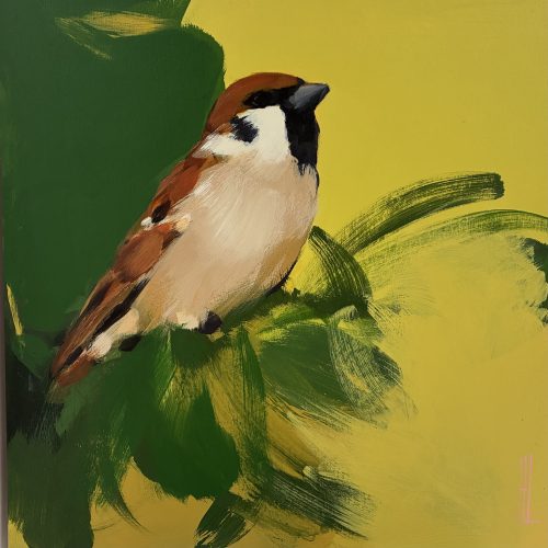 Sparrow in greens