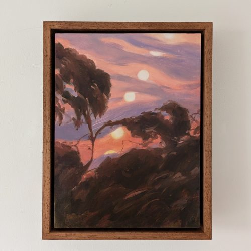 Passing Suns