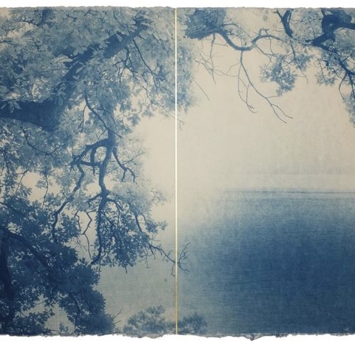 SHODO 3
