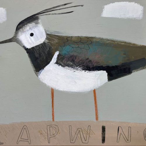 Lapwing